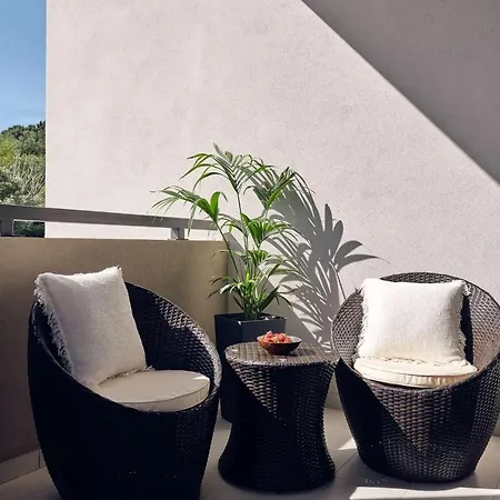 Aguacate Galini Villa